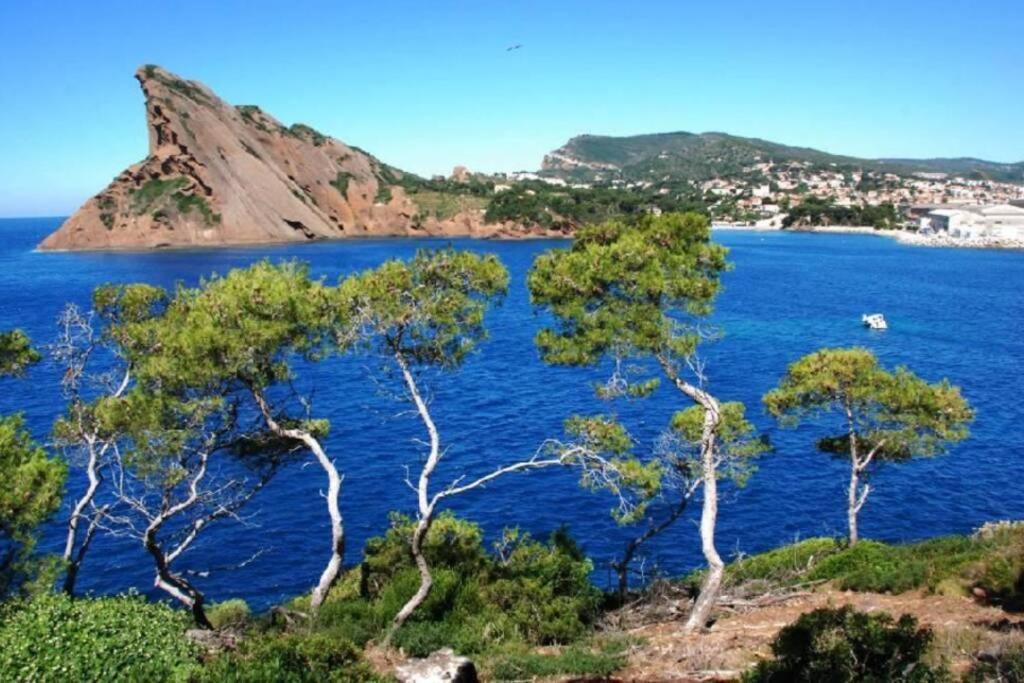 L'Oree De La Plage: Appt. Tout Confort 4/6 Pers. 400 M De La Plage Ла-Сьота Экстерьер фото